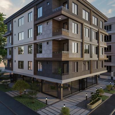 Sol Yan Cephe1a Resize